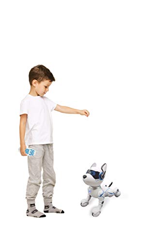 Lexibook Power Puppy - Mon Robot Chien Savant à dresser - Robot programmable avec télécommande, fonction dressage et contrôle gestuel, danse, musique, effets lumineux, rechargeable - DOG01