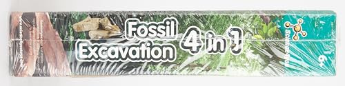 Science4you - Kit de Fouille de Fossiles 4 en 1 pour Enfants 5 6 7 8 9 10 Ans - Excaver et Assembler 4 Dinosaures: T-Rex, Triceratops, Velociraptor et Stegosaurus - Jouet Idéal pour Filles et Garçons