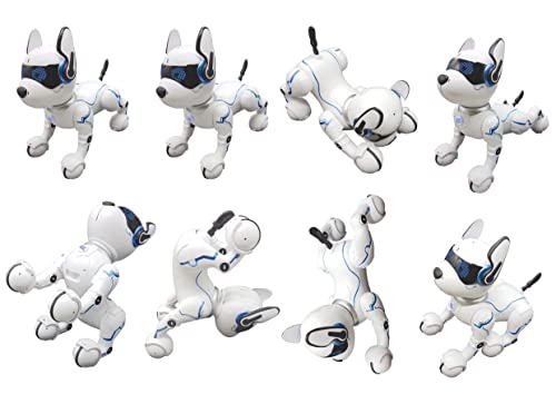 Lexibook Power Puppy - Mon Robot Chien Savant à dresser - Robot programmable avec télécommande, fonction dressage et contrôle gestuel, danse, musique, effets lumineux, rechargeable - DOG01
