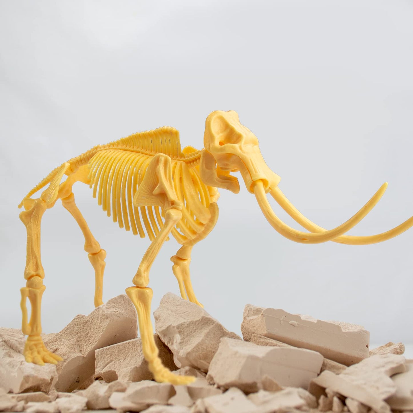 Science4you - Mammouth, Kit de Fouille pour Enfants +6 Ans - Excaver et Assembler 17 Fossiles de Dinosaure Avec ce Jouet de Paléontologie et Archeologie pour Enfants, Jeux Scientifique 6-10 Ans