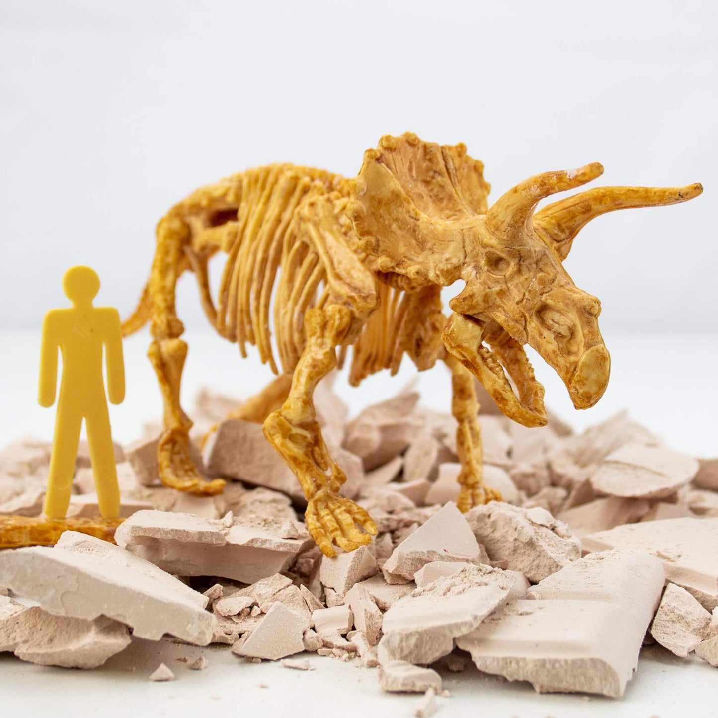 Science4you Triceratops, Kit de Fouille pour Enfants +6 Ans - Excaver et Assembler 10 Fossiles de Dinosaure. Jeux de Paléontologie et Archeologie, Jouet et Cadeau pour Enfants 6 7 8 9 10+ Ans