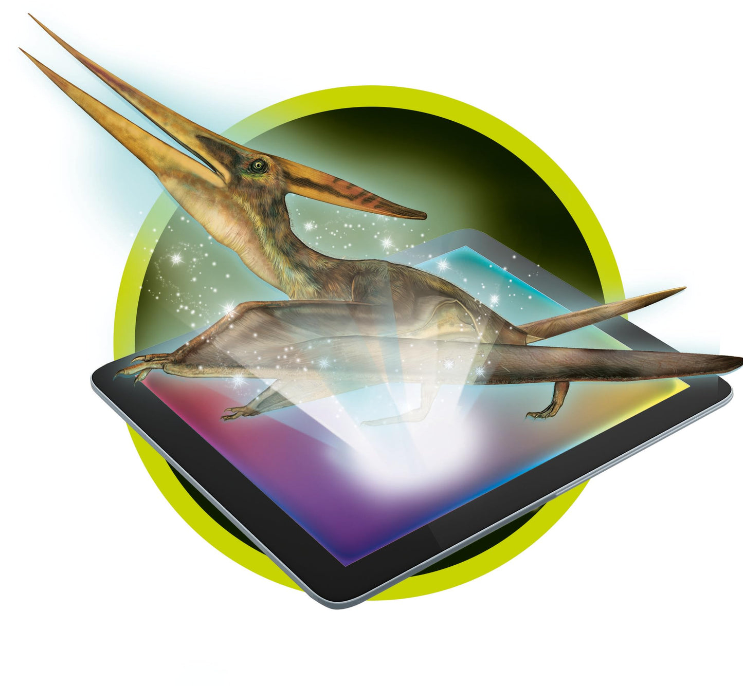 Clementoni- Science & Jeu : Archéo Ludic Pteranodon - Retrouve et Assemble les Fossils - Kit Archéologie pour Enfant - Squelette phosphorescent - Jeu Scientifique pour Enfant - Dès 7 ans - 52349