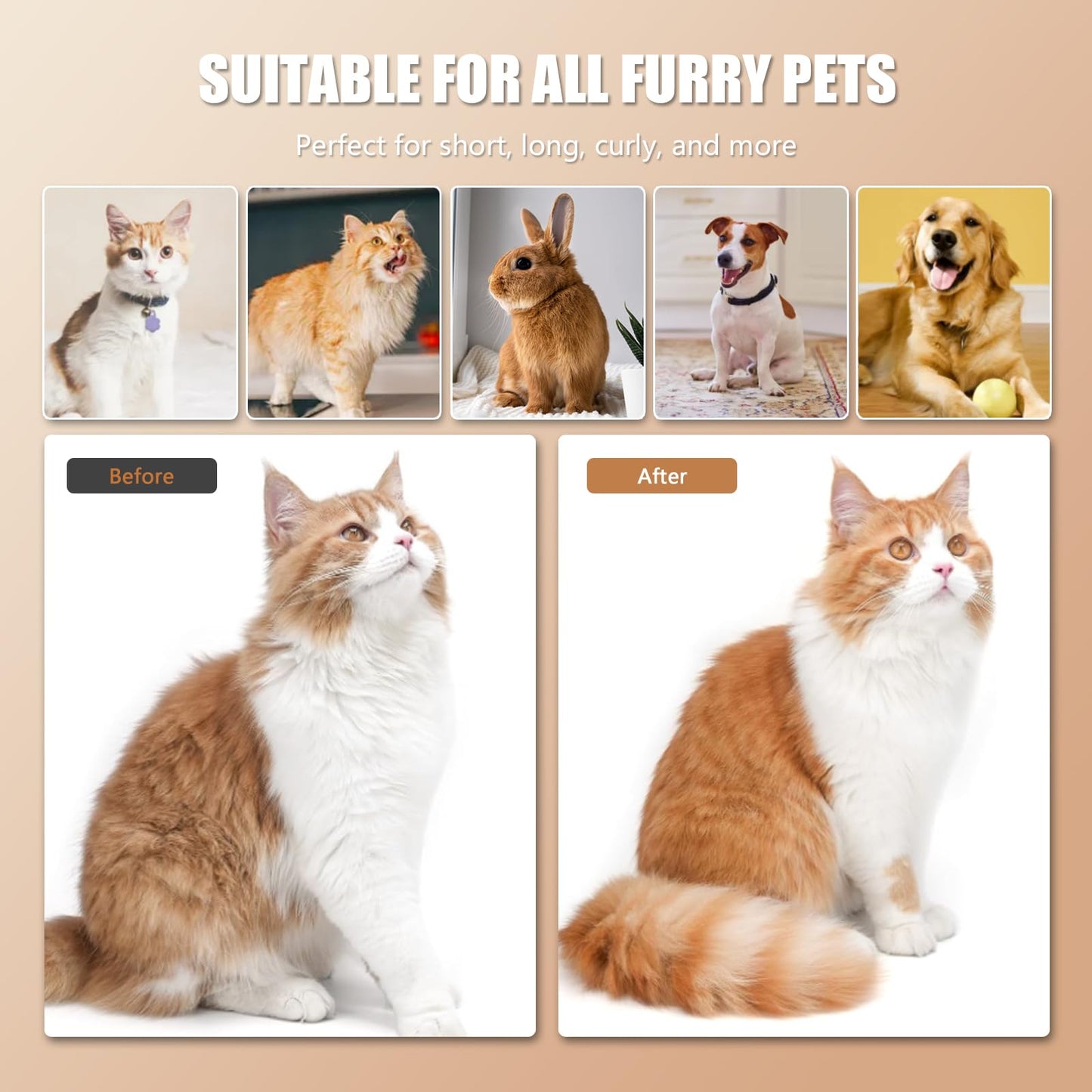 Brosse de Toilettage Vapeur 4 en 1 Antistatique I Chats & Chiens