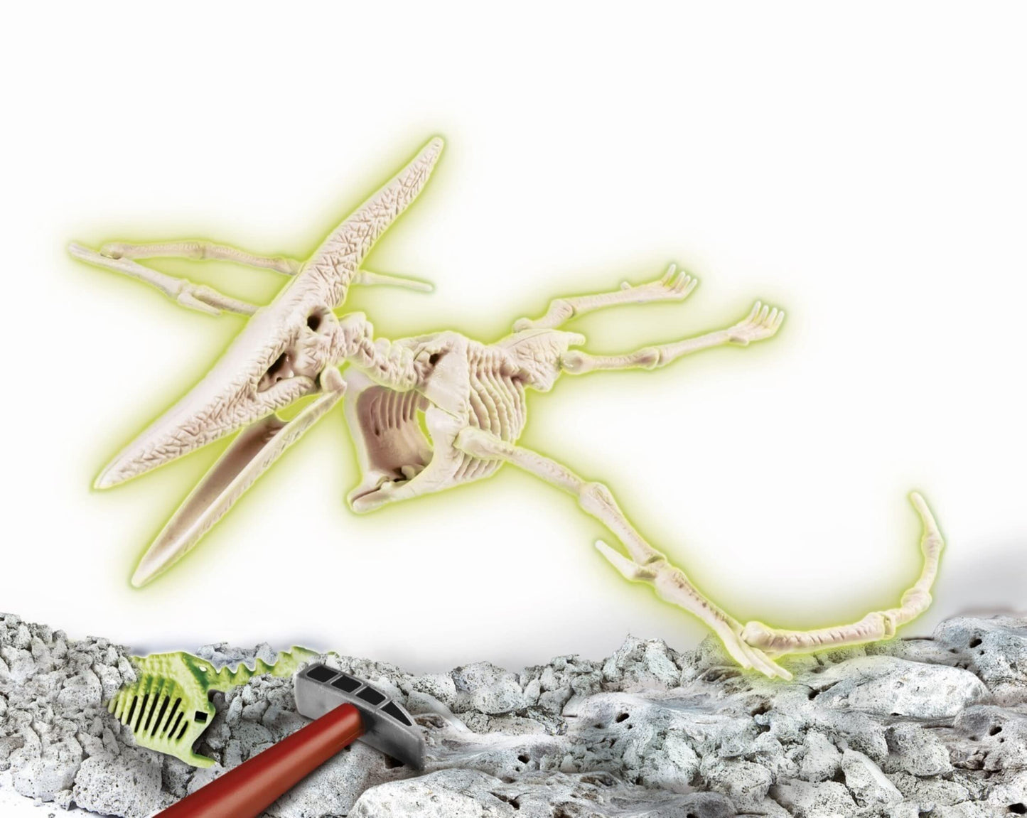 Clementoni- Science & Jeu : Archéo Ludic Pteranodon - Retrouve et Assemble les Fossils - Kit Archéologie pour Enfant - Squelette phosphorescent - Jeu Scientifique pour Enfant - Dès 7 ans - 52349