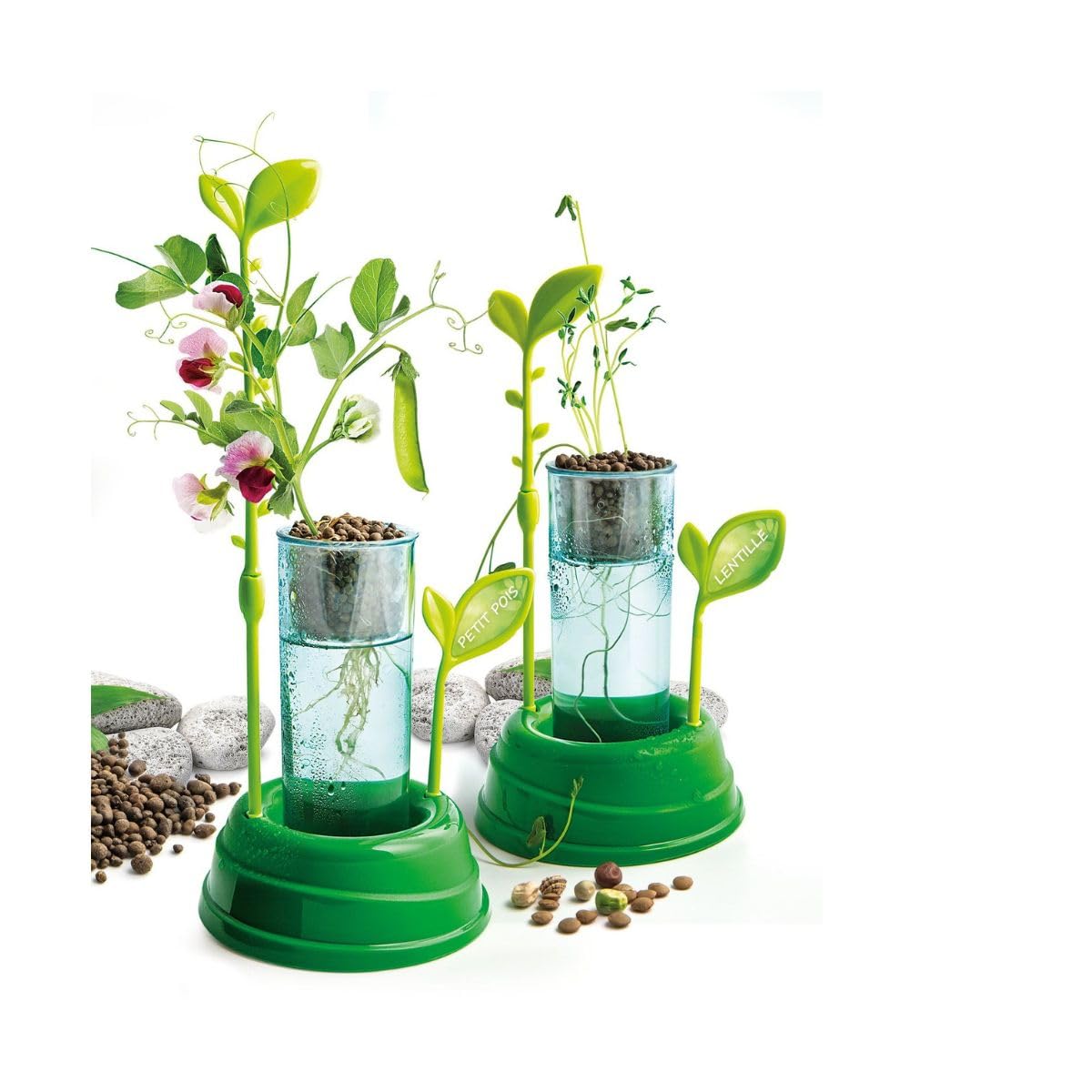Clementoni - Science & Jeu : Laboratoire Botanique et Hydroponie - Inclus Argile Expensée + Pots Spéciaux - Culture Hydroponique - Méthodes de Culture des Plantes - 15 x 5.5 x 21cm - 7+ - 52347