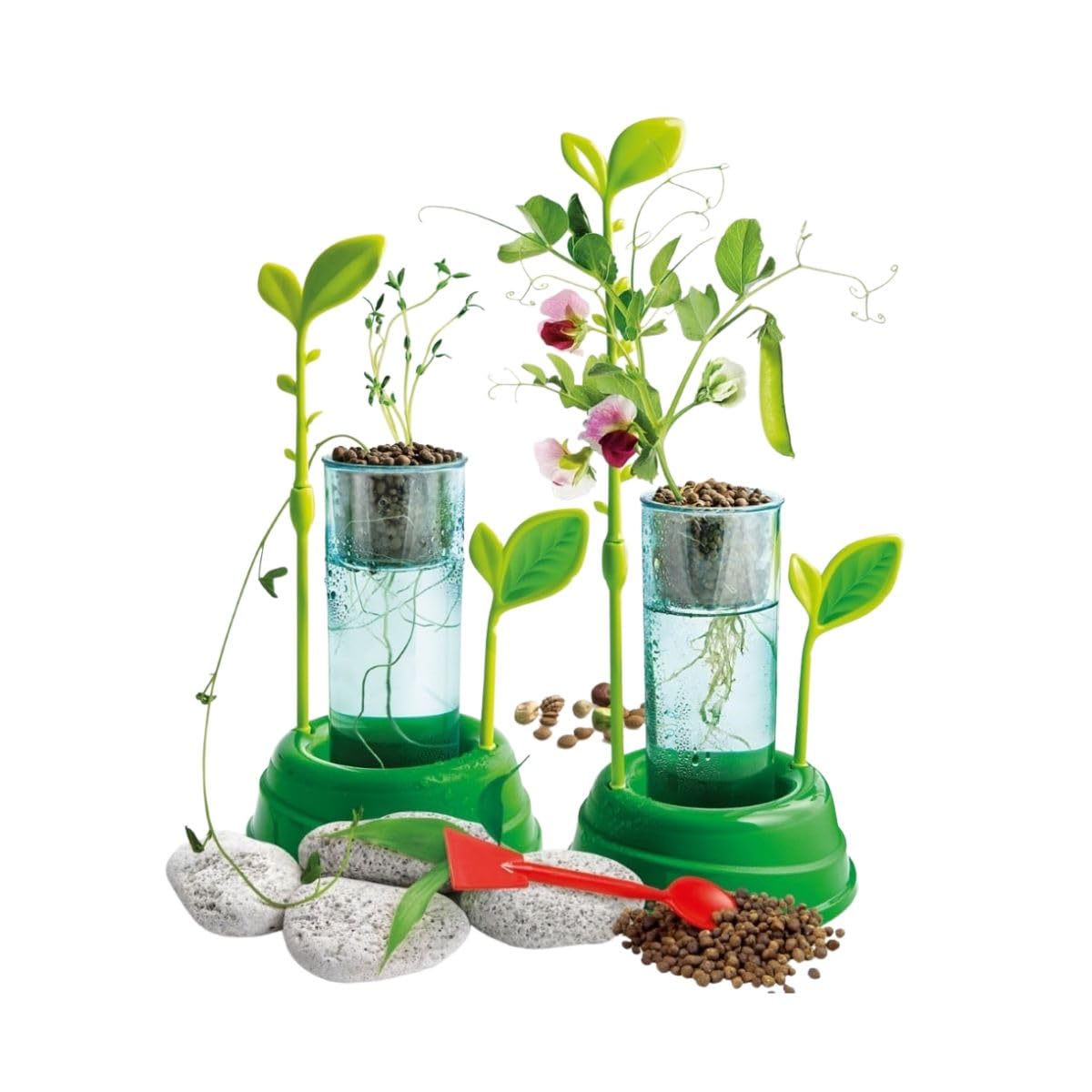 Clementoni - Science & Jeu : Laboratoire Botanique et Hydroponie - Inclus Argile Expensée + Pots Spéciaux - Culture Hydroponique - Méthodes de Culture des Plantes - 15 x 5.5 x 21cm - 7+ - 52347