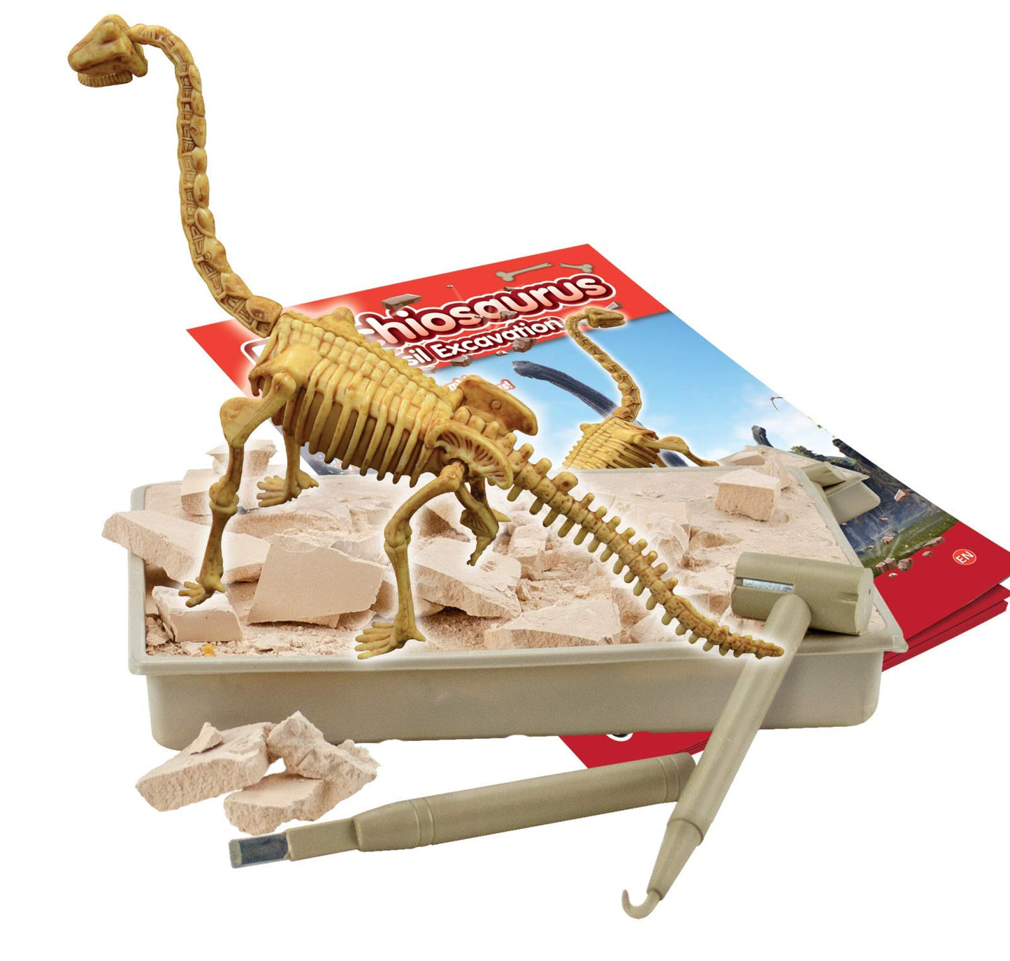 Science4you - Brachiosaurus, Kit de Fouille pour Enfant +6 Ans - Excaver et Assembler 11 Fossiles de Dinosaure avec ce Jouet de Paléontologie et Archeologie pour Enfants, Jeux Scientifique 6-10 Ans