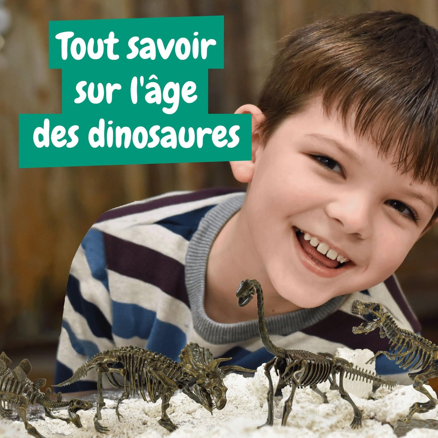 Science4you - Kit de Fouille de Fossiles 4 en 1 pour Enfants 5 6 7 8 9 10 Ans - Excaver et Assembler 4 Dinosaures: T-Rex, Triceratops, Velociraptor et Stegosaurus - Jouet Idéal pour Filles et Garçons