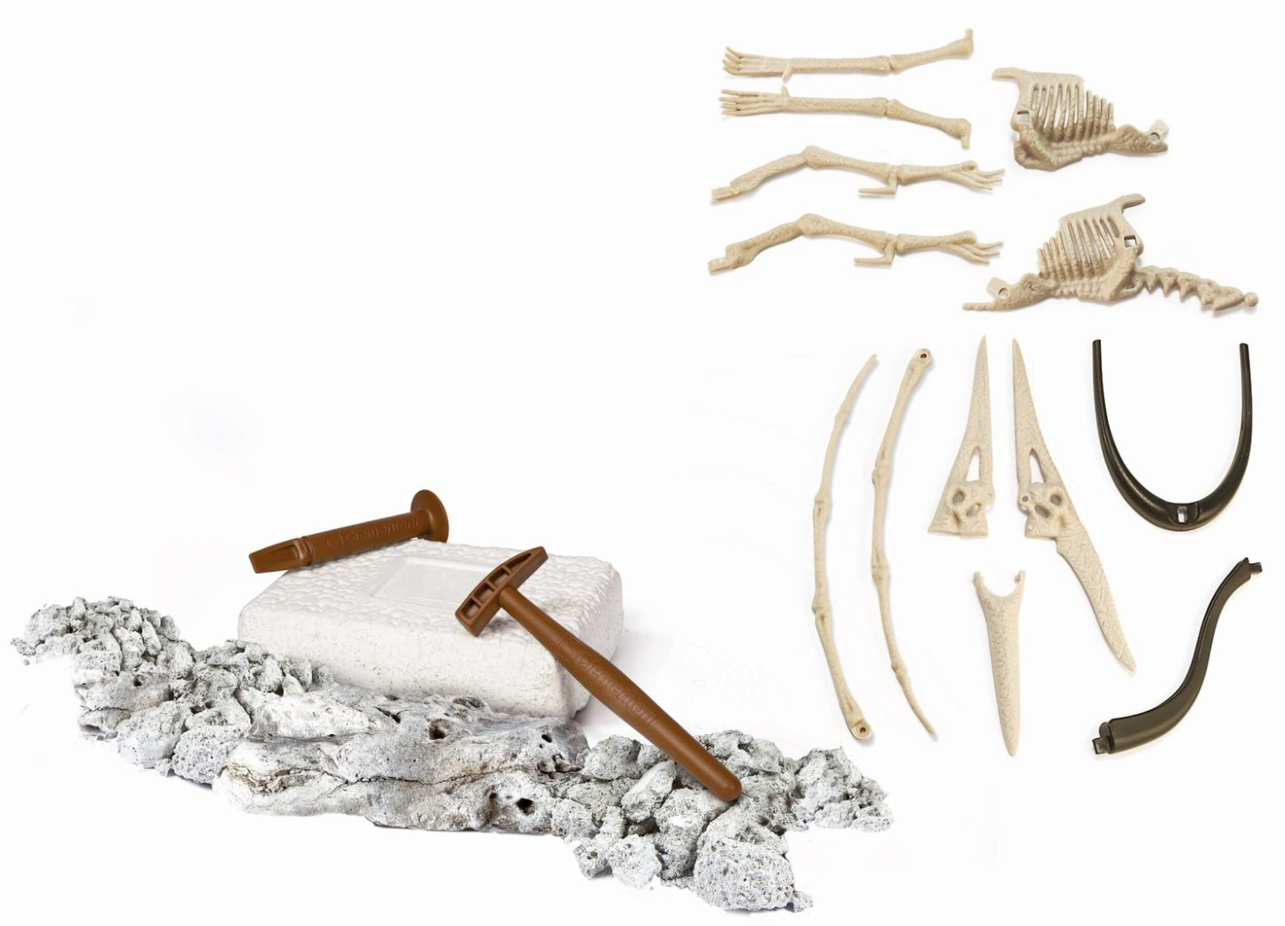 Clementoni- Science & Jeu : Archéo Ludic Pteranodon - Retrouve et Assemble les Fossils - Kit Archéologie pour Enfant - Squelette phosphorescent - Jeu Scientifique pour Enfant - Dès 7 ans - 52349