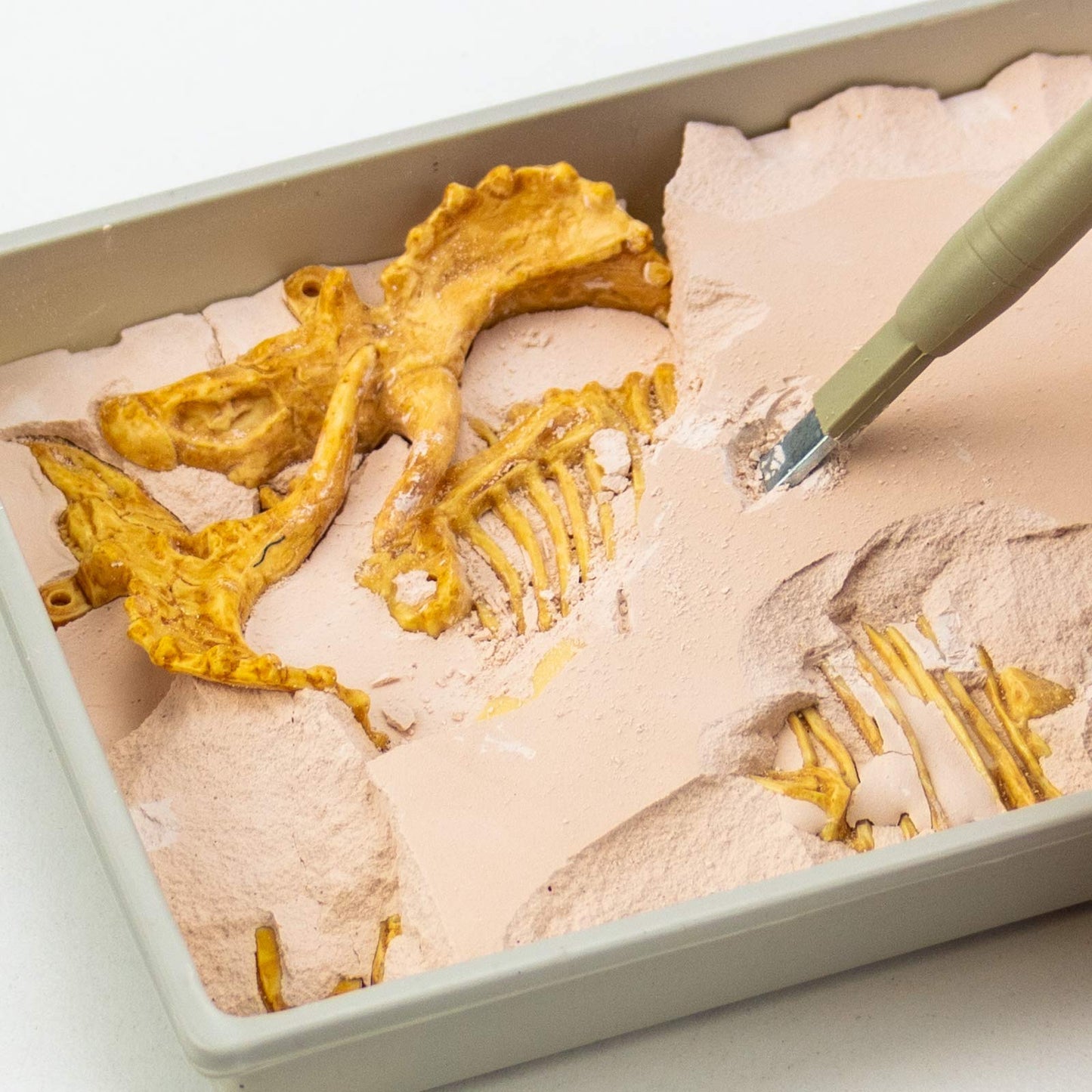 Science4you Triceratops, Kit de Fouille pour Enfants +6 Ans - Excaver et Assembler 10 Fossiles de Dinosaure. Jeux de Paléontologie et Archeologie, Jouet et Cadeau pour Enfants 6 7 8 9 10+ Ans