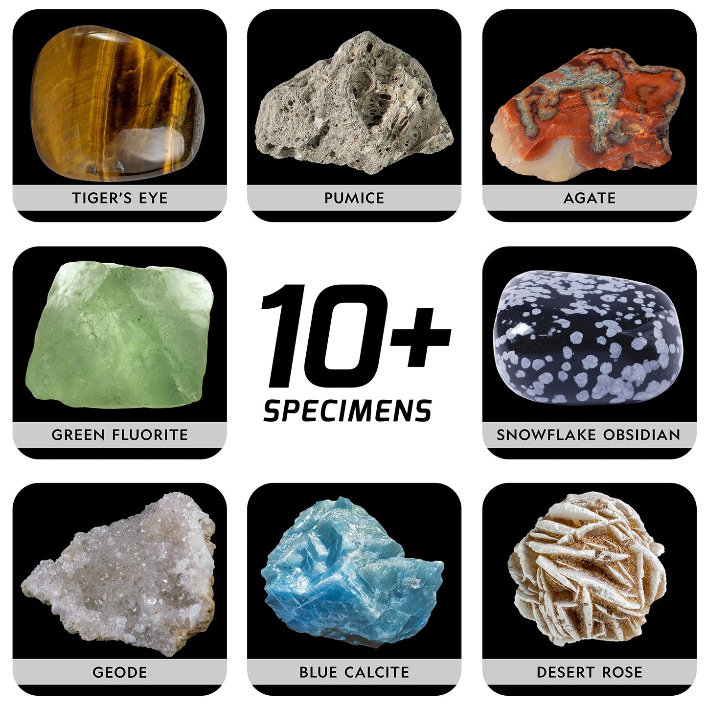 National Geographic Kit Scientifique – Plus de 15 Activités Scientifiques STEM – Culture de Cristal, Lave Volcanique, Kit de Fouille x2, 10 Spécimens Authentiques, EXCLUSIVITÉ Amazon